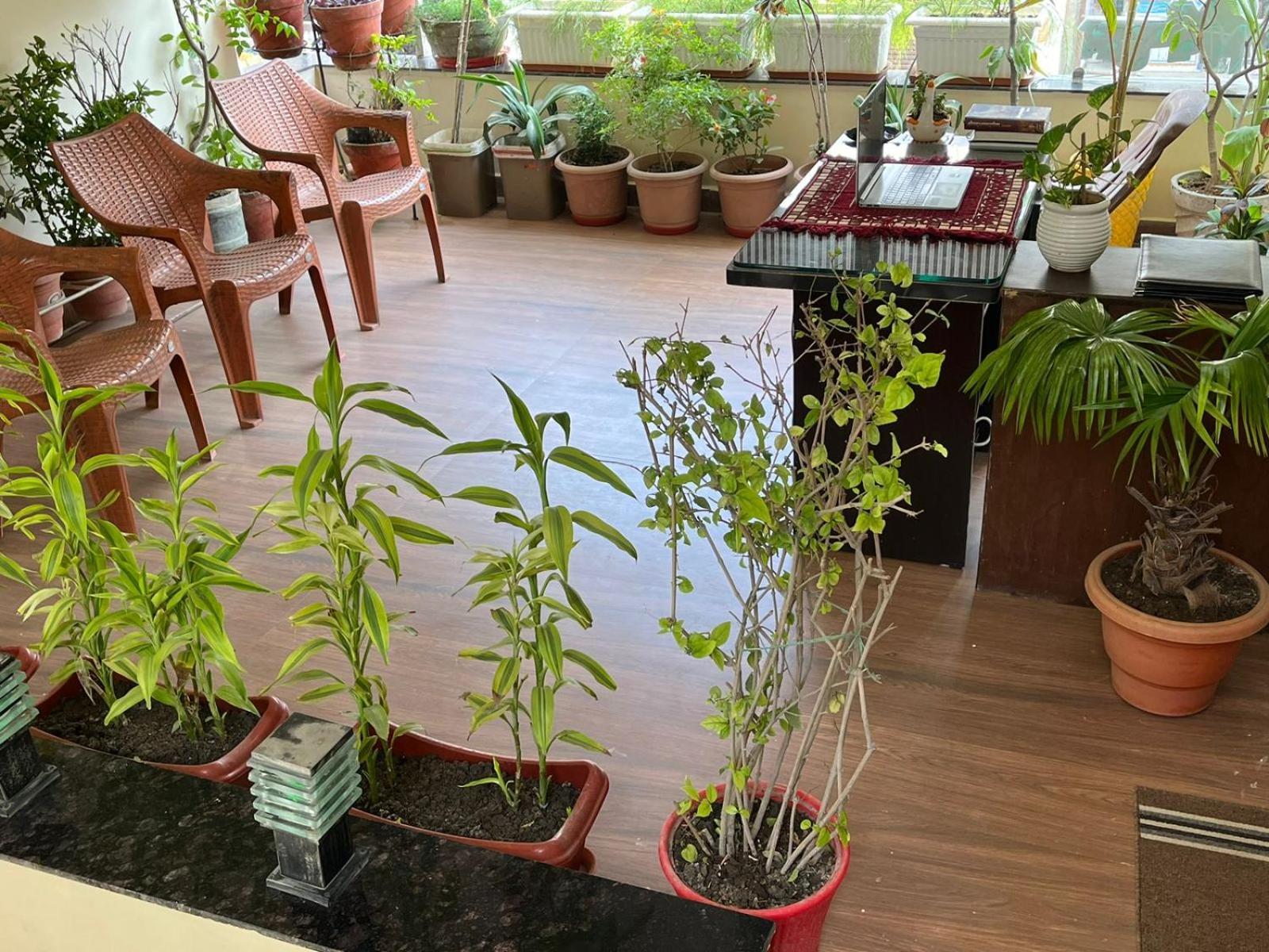 Hotel Shivashray Luxury Stays & Inn Ujjain Dış mekan fotoğraf
